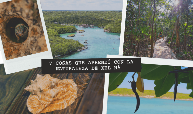 A qué le llamamos cultura del agua y su importancia vital