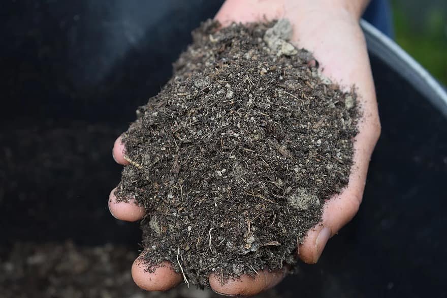abono vs fertilizante conoce sus principales diferencias