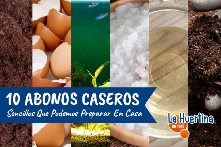 Abonos para las plantas: Cómo hacer abono orgánico casero