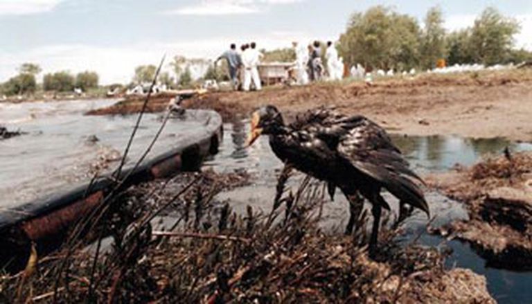 Aguas negras: un desafío ambiental en ríos de México