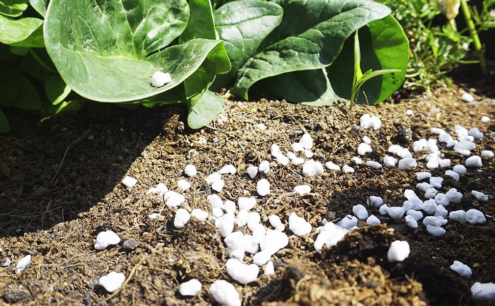 akadama descubre que es y para que sirve en jardineria
