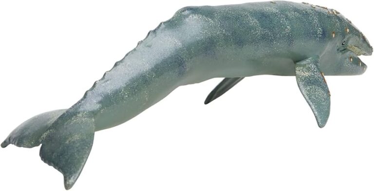Animal acuático más rápido: Descubre el top 10 marino
