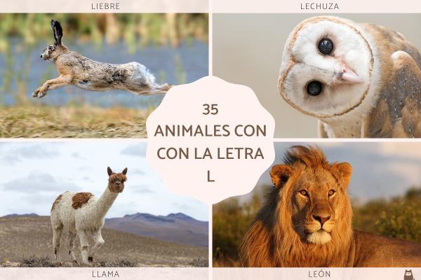 Animales que empiezan por E: Nombres en español e inglés