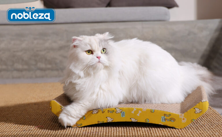 Arenero para gatos casero: 6 opciones ecológicas y baratas