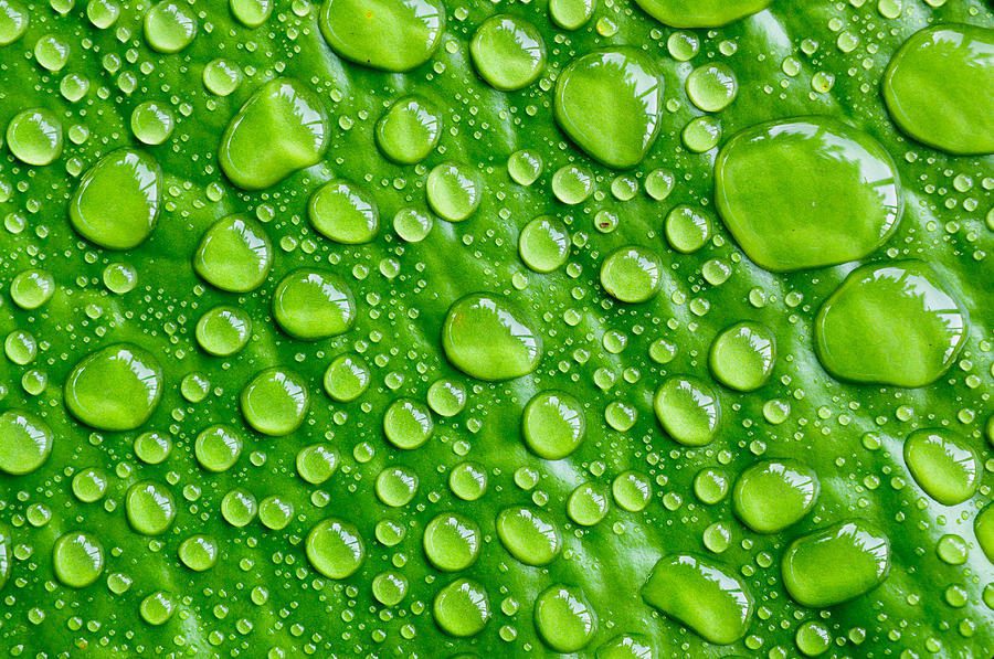 beneficios del agua para el planeta y su importancia vital