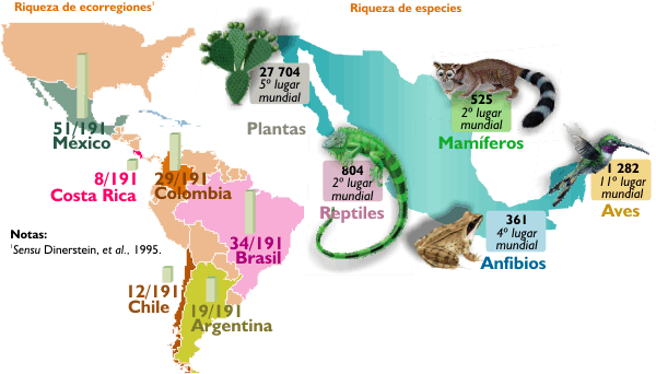 Biodiversidad Mexicana: Características y Flora de Islas