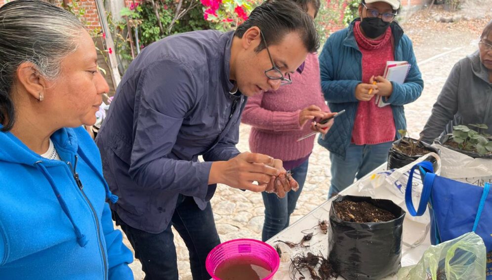 biodiversidad mexicana un tesoro bilateral en conservacion