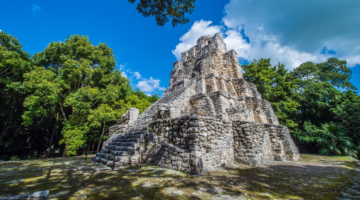 biodiversidad mexicana un tesoro natural por descubrir