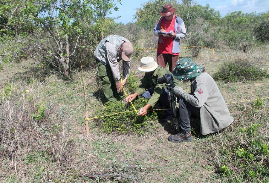 biodiversidad mexicana un tesoros natural por descubrir