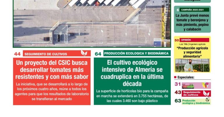 Boja común: Cuidados esenciales para su cultivo en maceta