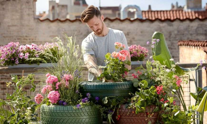 botanica que estudia y que significa en el mundo natural