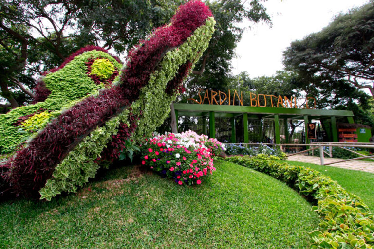 Botánico jardín: Qué es un jardín botánico y su importancia