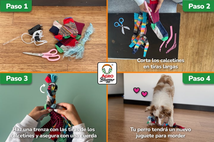 Buscas 10 ideas fáciles de juguetes caseros para perros