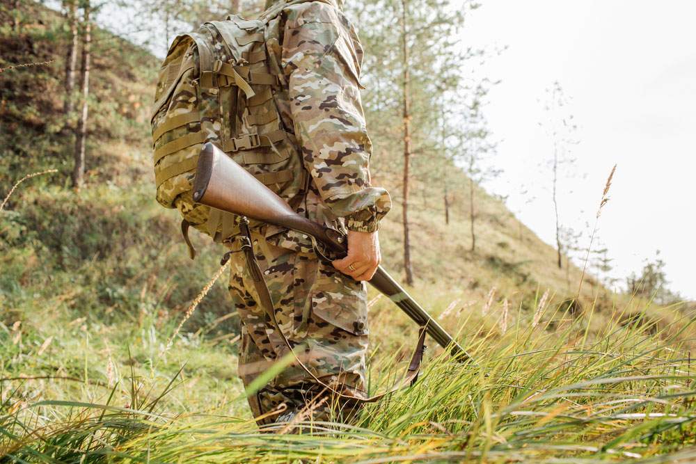 camuflajes los mejores camuflajes animales en la naturaleza