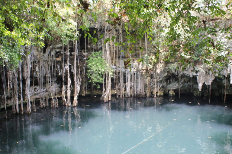 Cenote: Descubre qué son y su magia en Yucatán, México