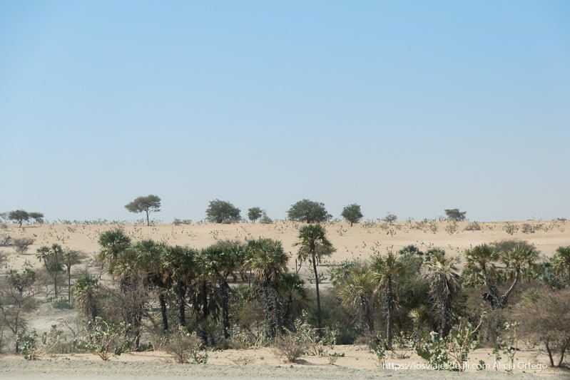 chad lago maravilla en peligro por la crisis del agua