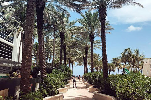 Clima a Miami Beach: Todo lo que debes saber antes de viajar