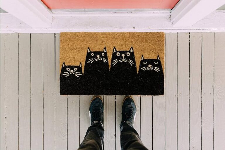 Coco para gatos Descubre si es seguro para tu felino