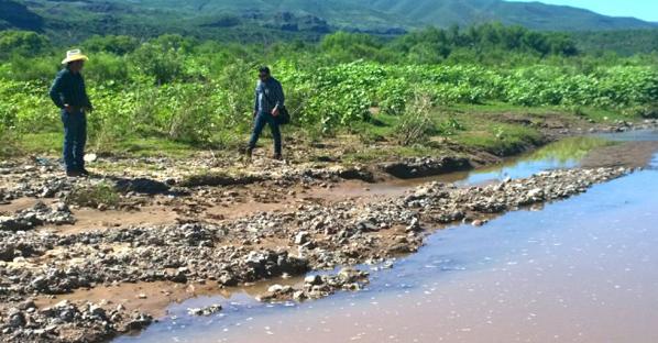 Cómo afecta la contaminación al agua según Contralínea