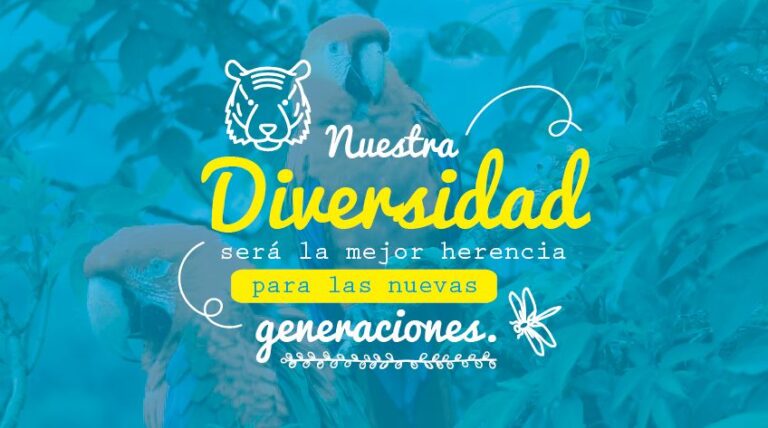 Cómo celebramos el Día Internacional de la Diversidad Biológica