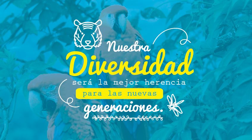 como celebramos el dia internacional de la diversidad biologica
