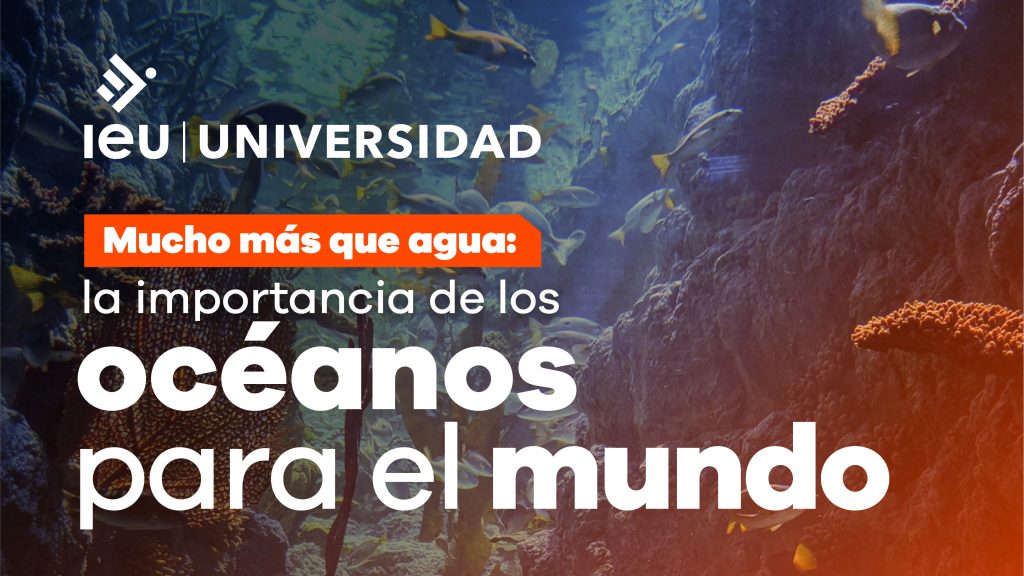 como celebrar el dia del agua con ecose org y cuidar la tierra