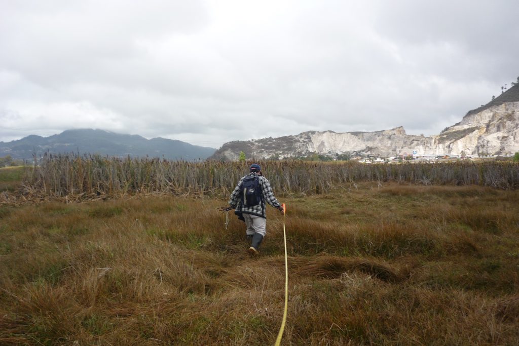 como colaboran inecol y conabio por la biodiversidad en