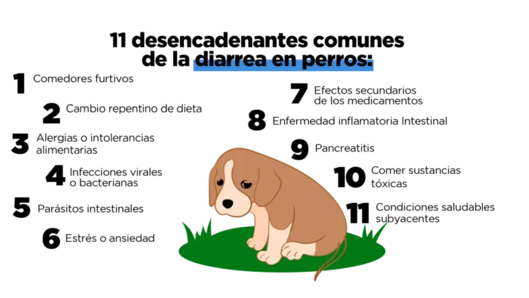 Cómo desintoxicar el hígado de mi perro con remedios caseros