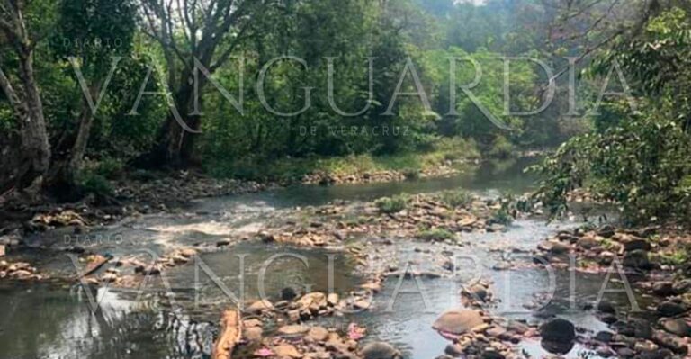 Cómo influye la contaminación de ingenios y alcoholeras en Atoyac