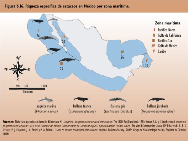 Cómo protege la Ley General de Vida Silvestre la biodiversidad en México