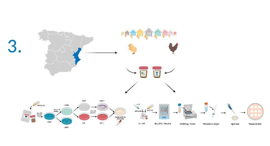 como reducir la huella ecologica 10 consejos practicos