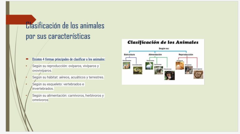 Cómo se clasifican los animales según su reproducción