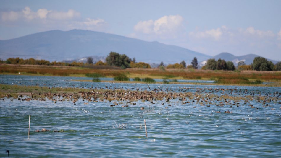 como se conserva el lago de texcoco y su area natural