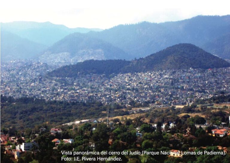 Cómo se manifiesta la biodiversidad en ecosistemas urbanos y naturales
