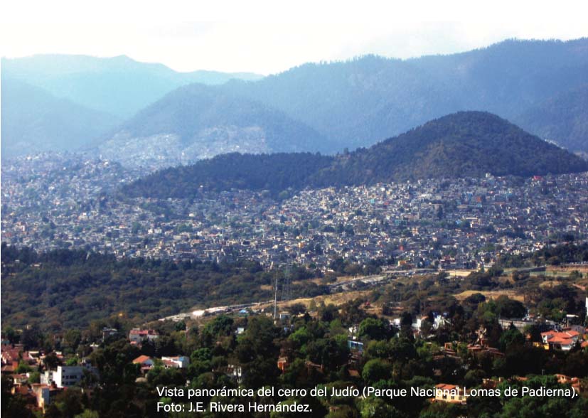 como se manifiesta la biodiversidad en ecosistemas urbanos y naturales