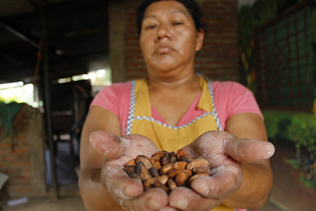 Cómo se produce el cacao de manera sostenible y ecológica