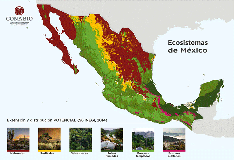 conabio es la clave para conservar la biodiversidad en