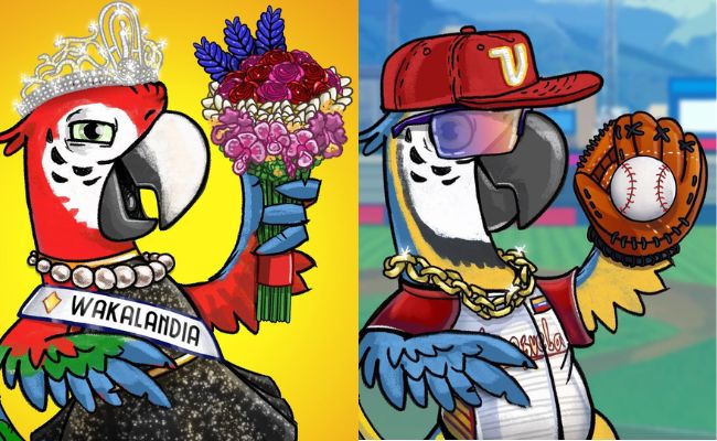 Conoces la belleza de las guacamayas en Caracas