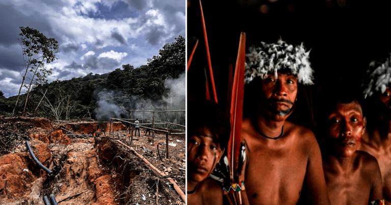 Conoces la cultura y territorio de la tribu Yanomami en la Amazonía