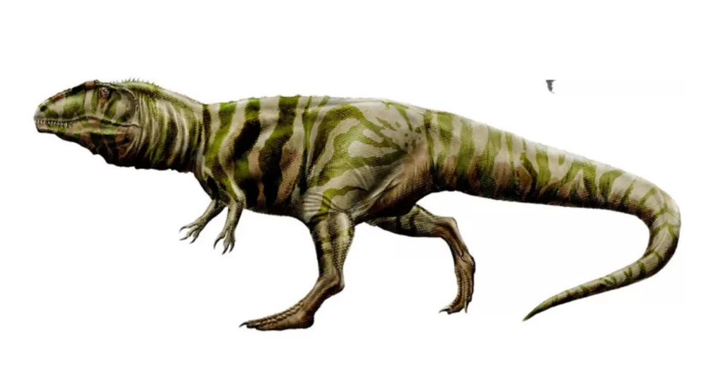 conoces los 27 increibles fosiles de dinosaurios reales