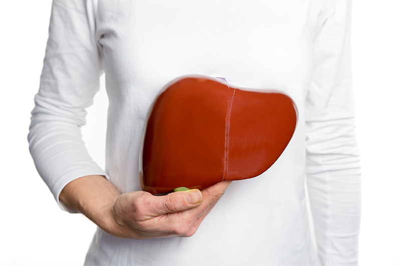 corazon donde esta el corazon humano y su funcion vital
