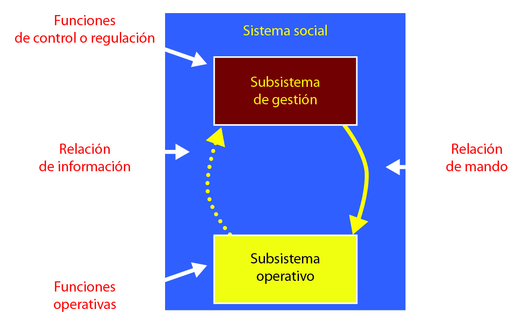cromosomas que son tipos y partes esenciales