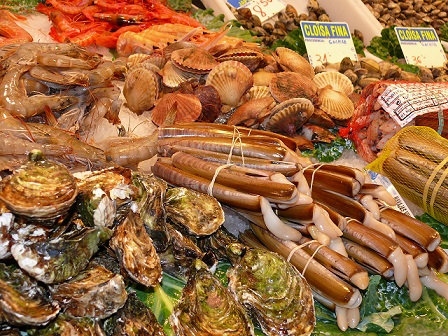 Cuál es el beneficio de los invertebrados en el ecosistema
