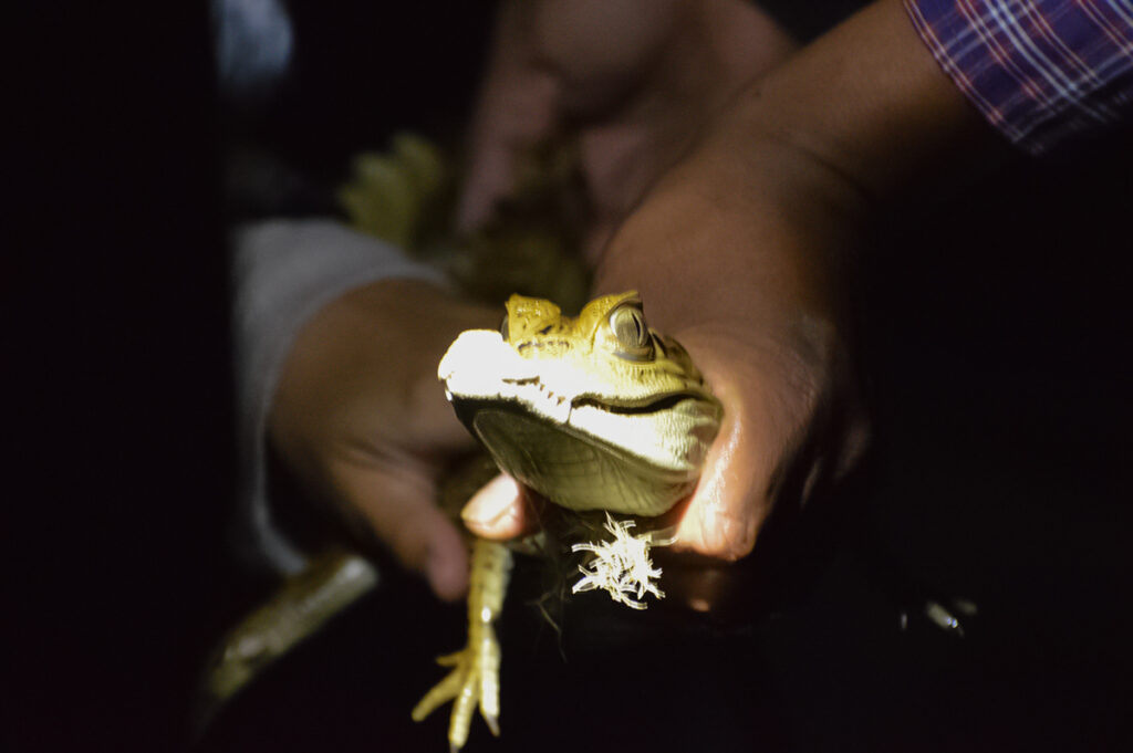 cual es el impacto de la carcinologia en la biodiversidad y conservacion