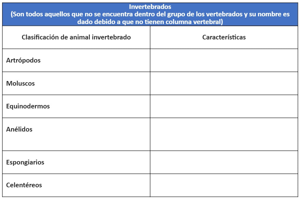 cual es la diversidad y ecologia de los animales invertebrados