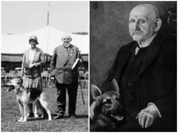 Cuál es la historia y características del Pastor Alemán