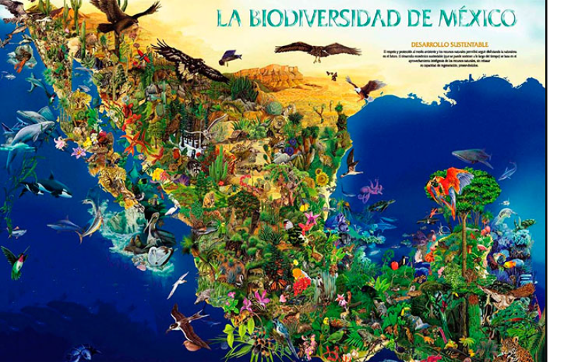 cual es la importancia de la biodiversidad en
