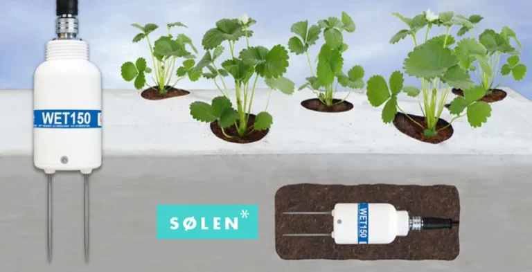 Cuál es la importancia de la producción agrícola y el agua disponible