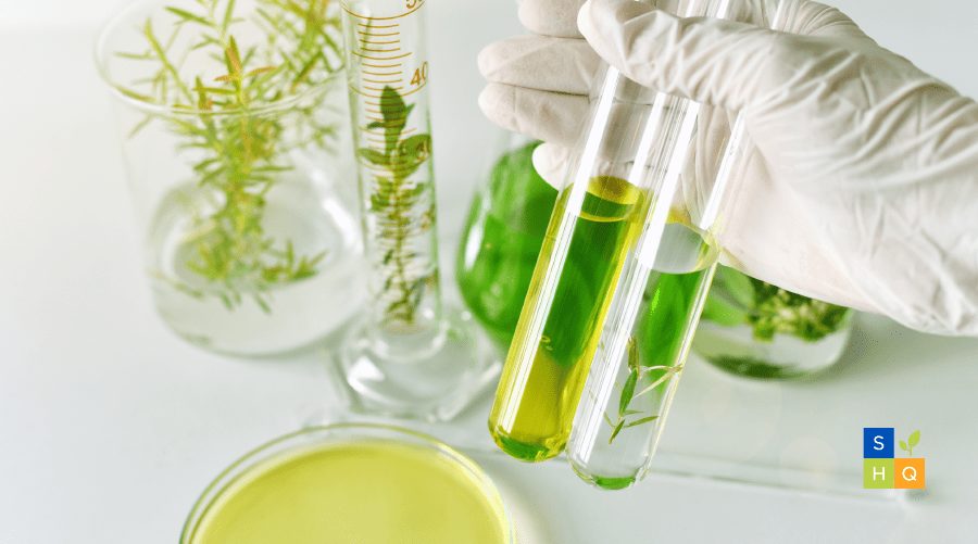 cual es la importancia y aplicacion de los botanicos en la naturaleza