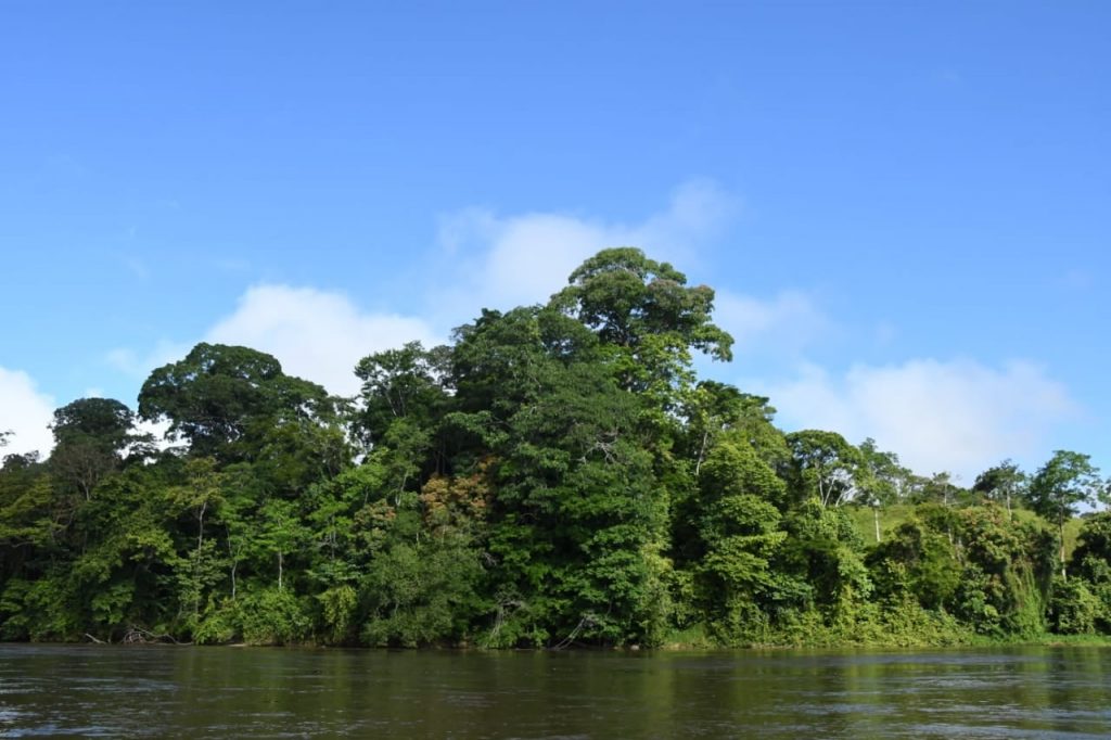 cual es la relevancia de las reservas naturales en la biosfera